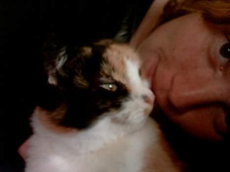 Huskat Piv billede 15