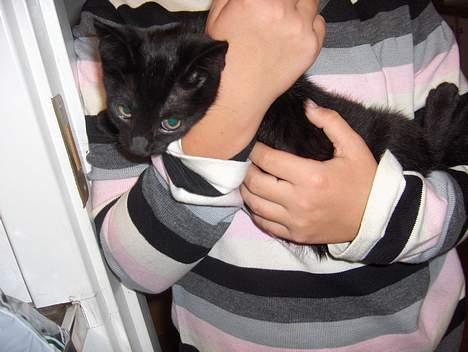 Huskat Lajla - Her er Asger. Min gode ejer. Han er rigtig sød mod mig! billede 18