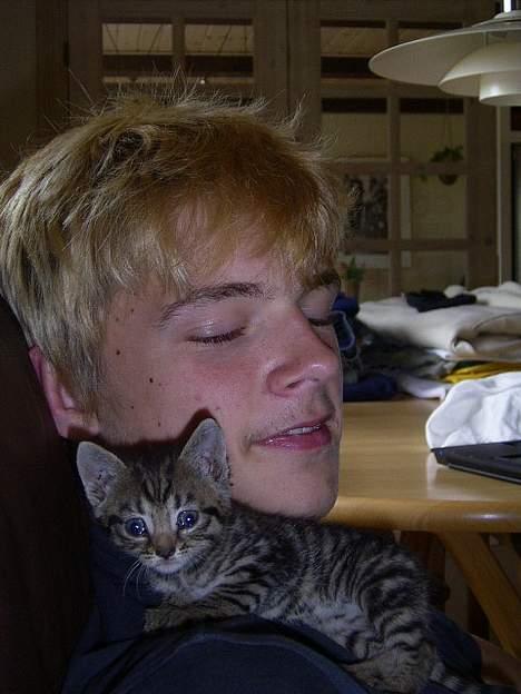 Blanding af racer lille john billede 2