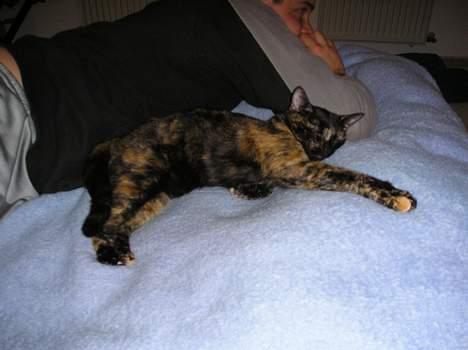 Blanding af racer Gismo - Putte med far på sengen-lækkert! billede 6