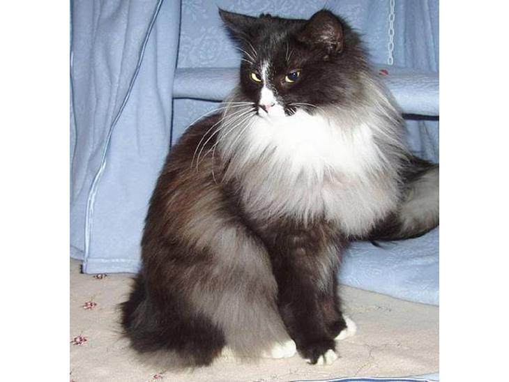 {{currentPhoto.altText}} billede {{currentPhoto.number}}