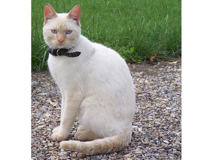 Huskat Punktum - ja,lidt model er der i mig ;) billede 1