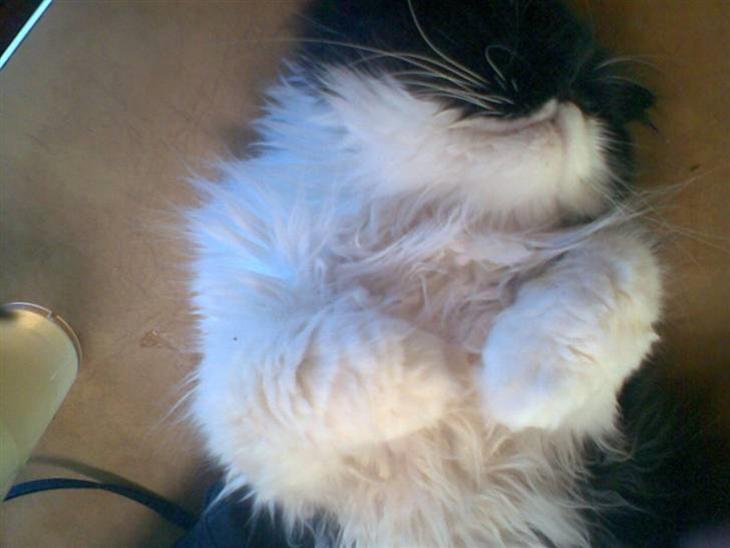 {{currentPhoto.altText}} billede {{currentPhoto.number}}