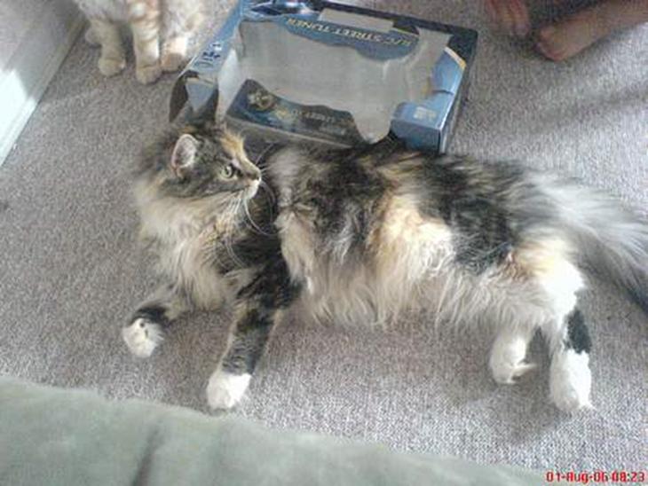 {{currentPhoto.altText}} billede {{currentPhoto.number}}