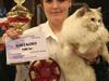 Ragdoll SP. Wrendsted Celinea DSM