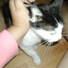 Huskat Snuller R.I.P. Død :'(