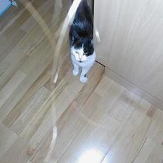 Huskat Snuller R.I.P. Død :'(