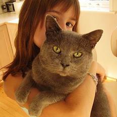 Blanding af racer Kalle