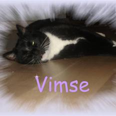 Huskat Vimse