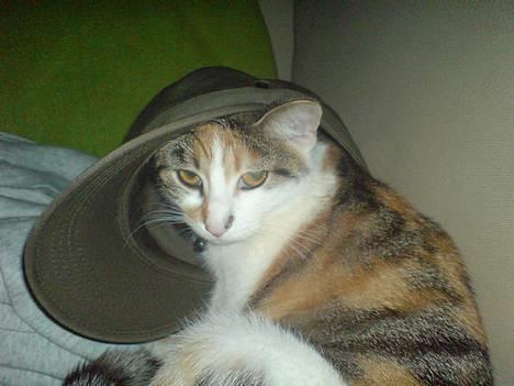 Huskat Akia - Udklædning... :-) billede 13