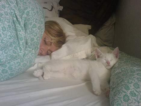 Blanding af racer NimNim R.I.P - får lige en lur med mors veninde.. dejligt billede 8