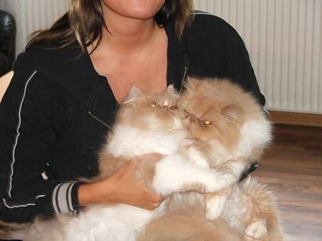 Perser bølle - mig og brormand leger... billede 4