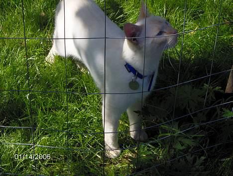 Huskat Punktum - Hjjjjæææællllllllpppppppppp!! billede 15