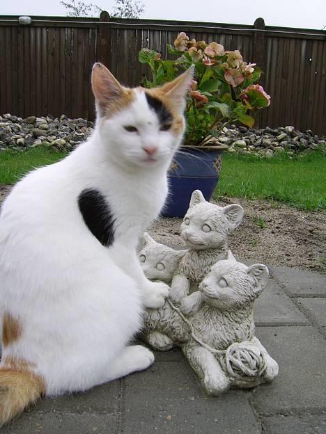 Huskat Jasmin - Ihh, hvor er dine andre misser også bare søde mor...  billede 16