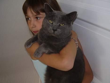 Blanding af racer Kalle billede 5