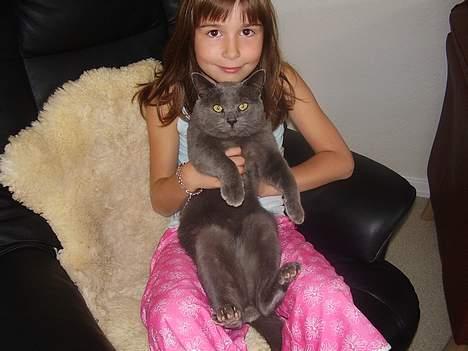 Blanding af racer Kalle billede 8