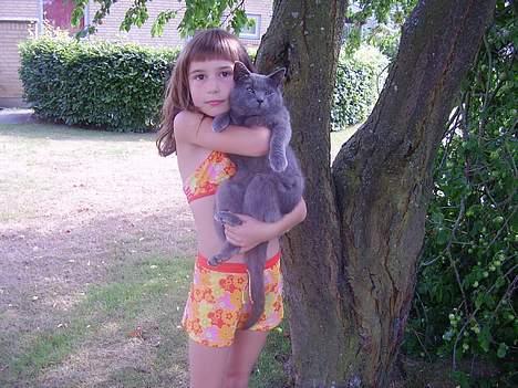 Blanding af racer Kalle billede 13