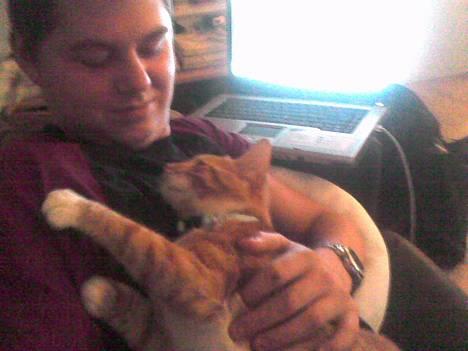 Huskat Bølle billede 6