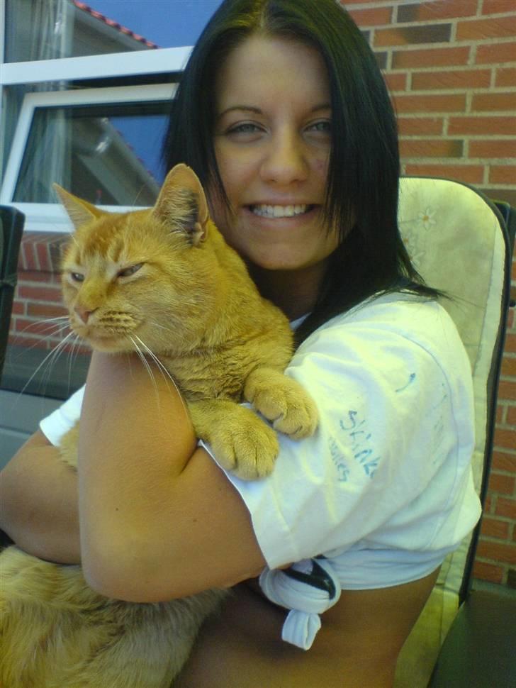 Huskat Morris R.I.P - Verdens bedste kat! billede 8