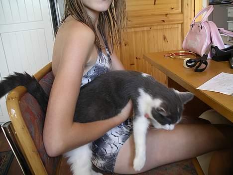 Blanding af racer viktor - humn mej det kan du ikké (min ven louise som også er her inde billede 3