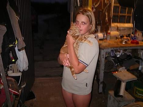 Blanding af racer garfield - mig og gaffe billede 6