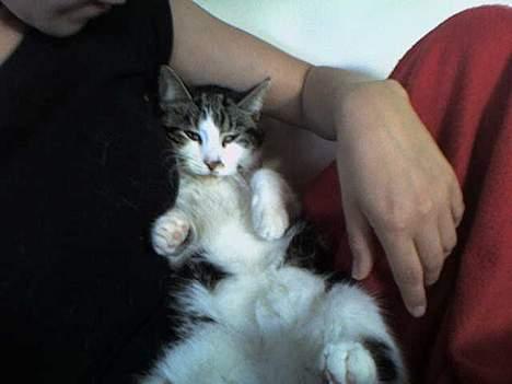 Huskat Gucci - hygger med mor. Dejligt billede 9