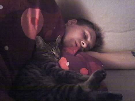 Huskat Sarabi (RIP) - Sover med far efter en lang dag billede 5