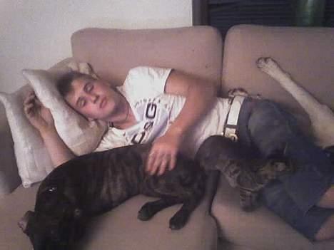 Huskat Sarabi (RIP) - Putter med far og Saszha billede 7