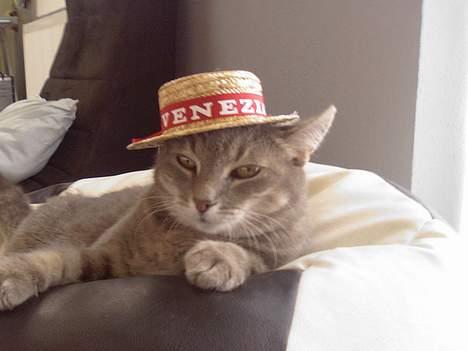 Huskat Dysse - 2006 billede 18