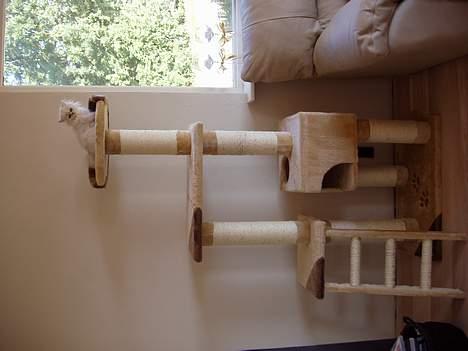 Perser Silke - Se mit store nye kradsebræt billede 3