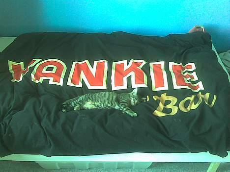 Huskat Tøs' pige billede 1