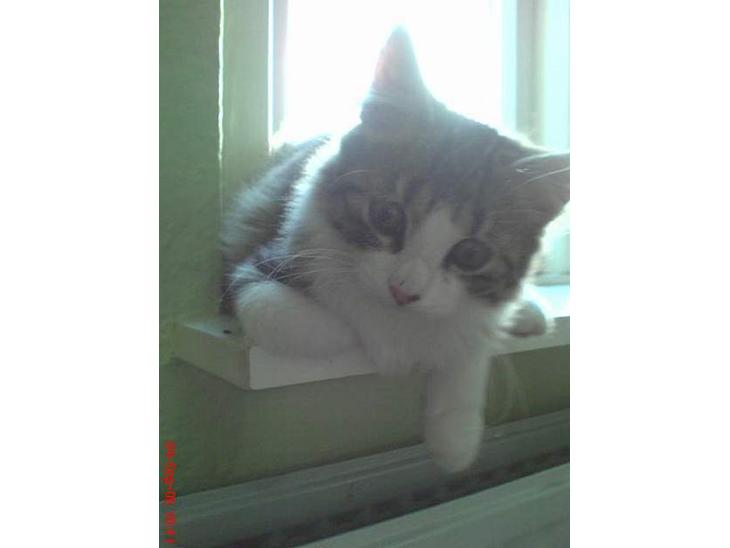 {{currentPhoto.altText}} billede {{currentPhoto.number}}