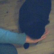 Blanding af racer Frida