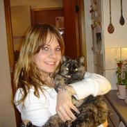 Blanding af racer Fie