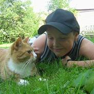 Blanding af racer Tigern