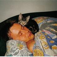 Huskat Tiger (dansk)