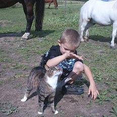 Blanding af racer Mille *død*