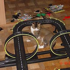 Huskat <3Prince Charming<3 DØD