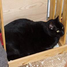 Blanding af racer Muller *RIP*