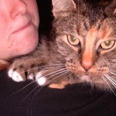 Blanding af racer isis