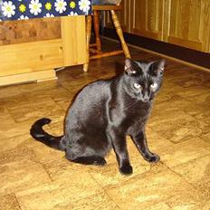 Blanding af racer Laban