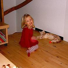 Blanding af racer Igor (Himmelkat)