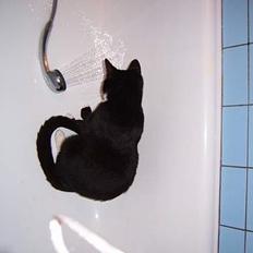 Blanding af racer Midi