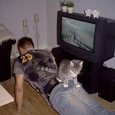 Blanding af racer Bounty