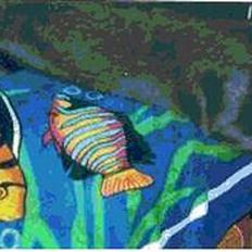 Blanding af racer Felix