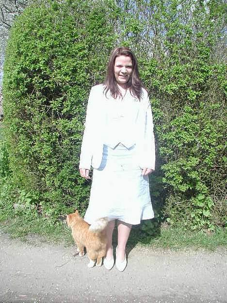 Blanding af racer Tot billede 3