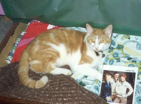 Blanding af racer Kiddie *død* - Lige nede i sengeskuffen, med ekstra senge tøj... billede 5