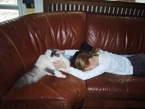 Blanding af racer Trunte - Trunte og min lillesøster billede 8