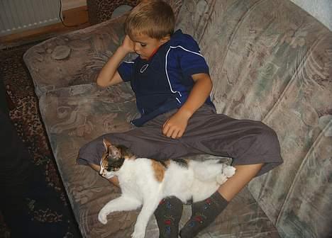 Blanding af racer Fifi *død* - Dejligt sted at sove billede 5