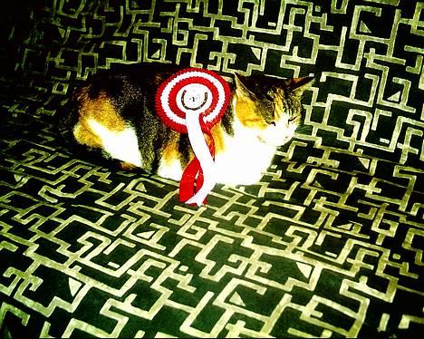 Blanding af racer *Molly* - j r en præmie mizz.. hehe... ej d r en heste rosette... men d r jo en første plads... hehe billede 10